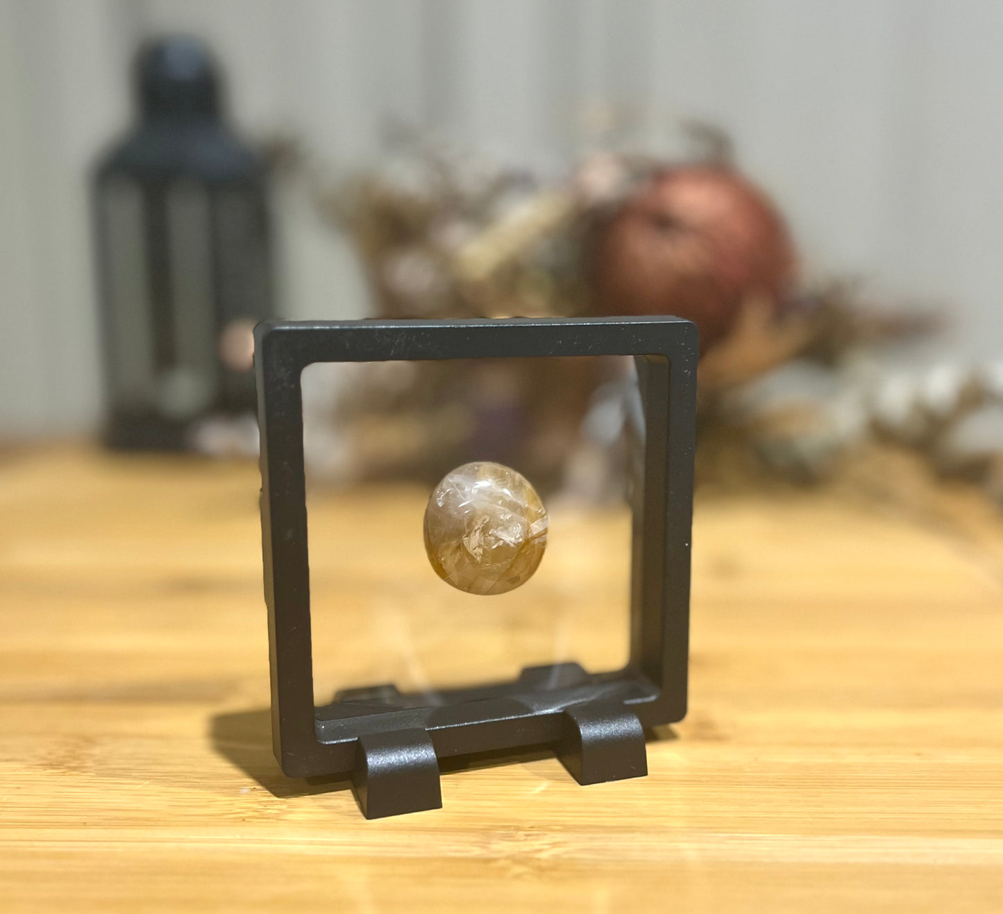Specimen Display Frames