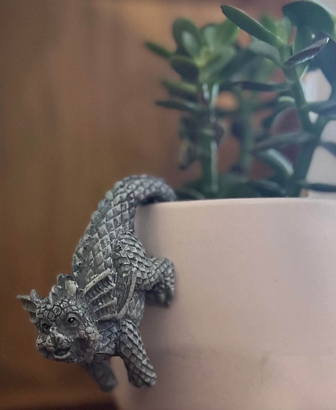 Hanging Dragons