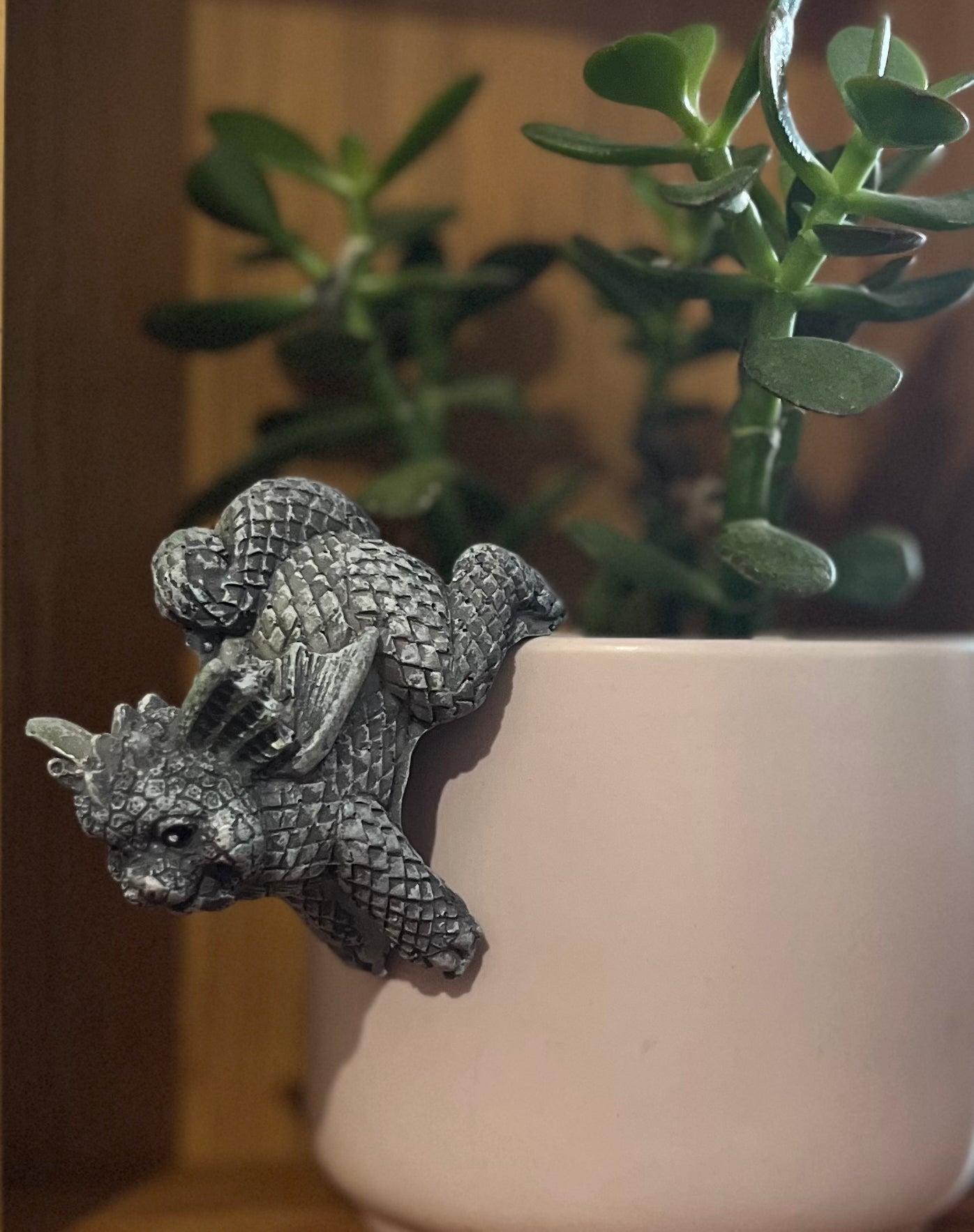 Hanging Dragons