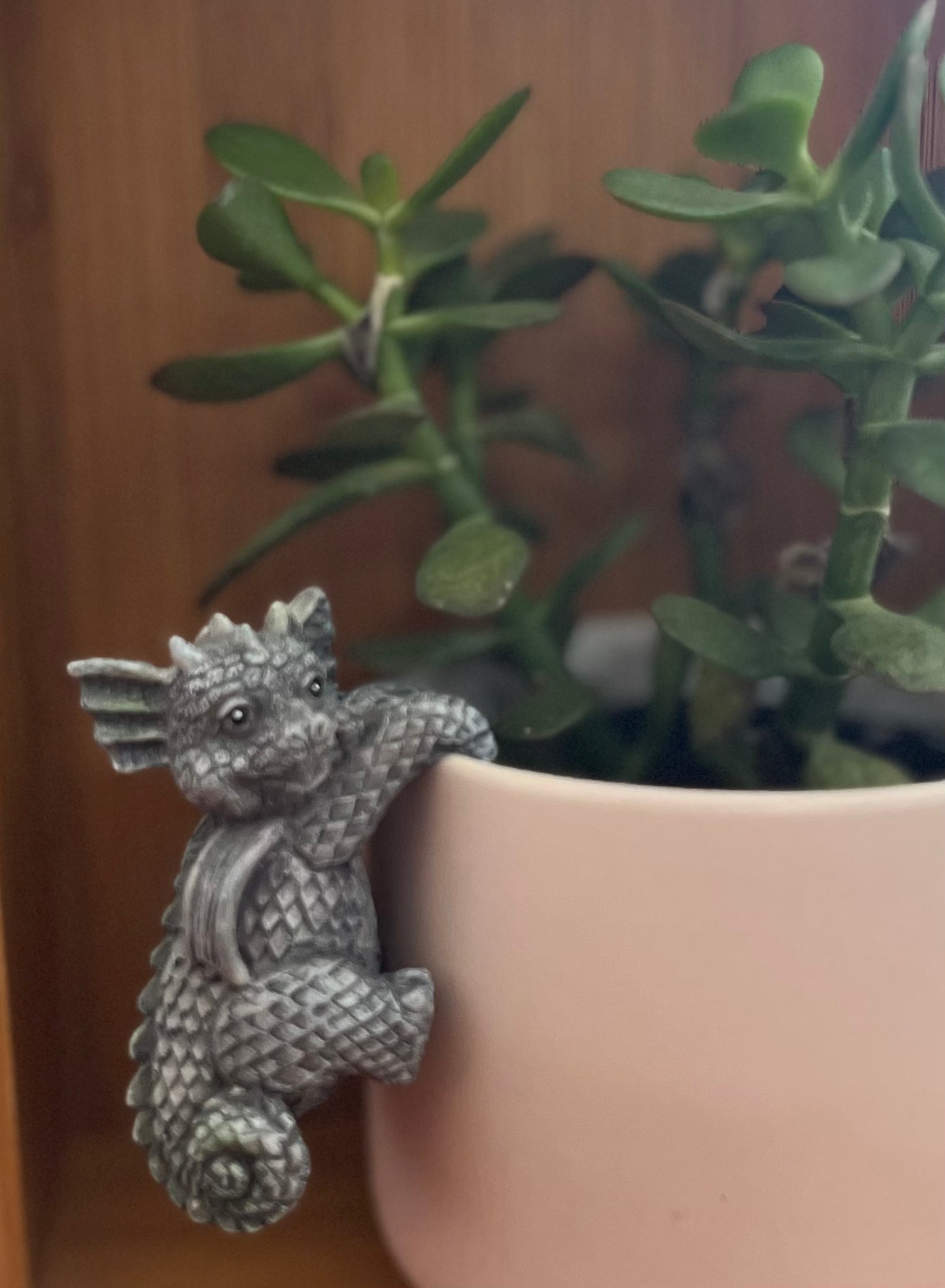 Hanging Dragons