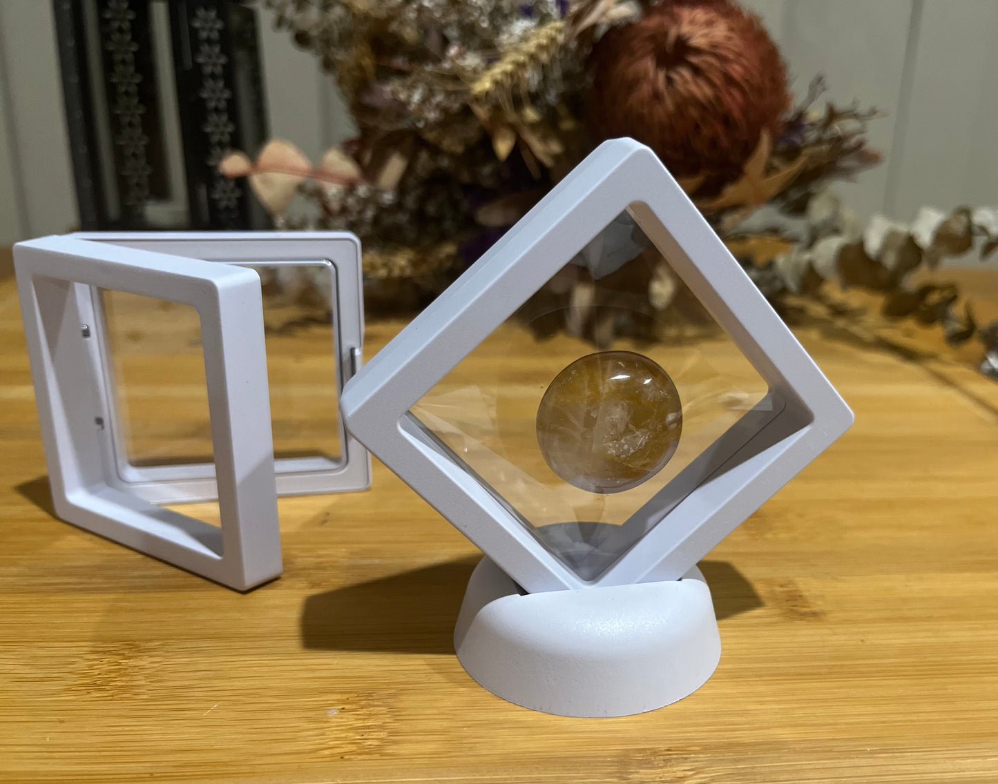 Specimen Display Frames