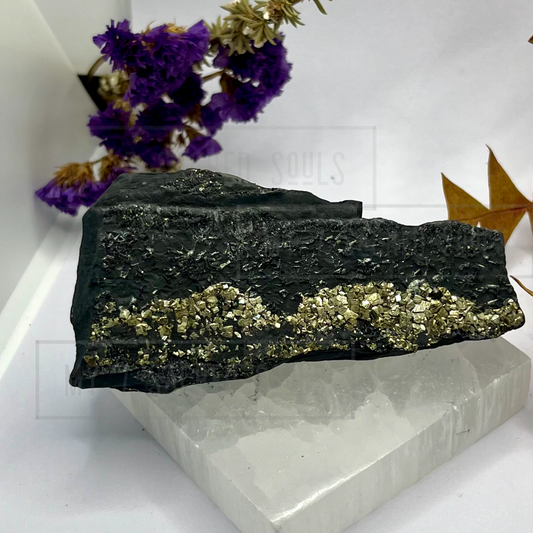 Shungite with Pyrite Specimen