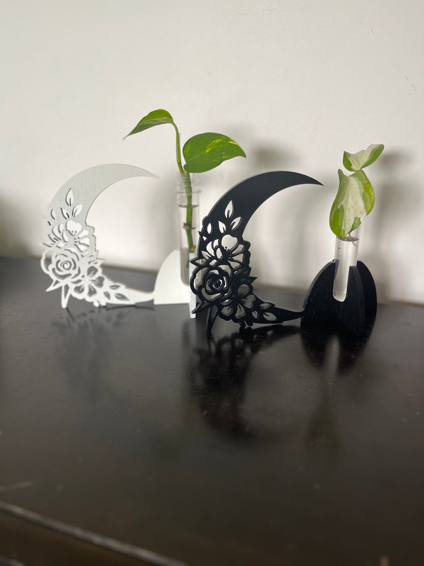 Crescent Moon Propagation Stand (Single)