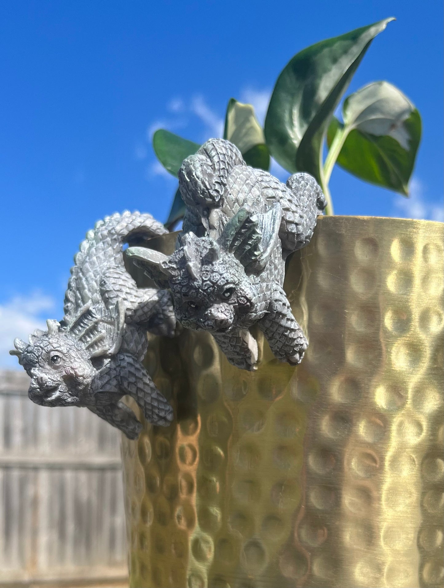 Hanging Dragons