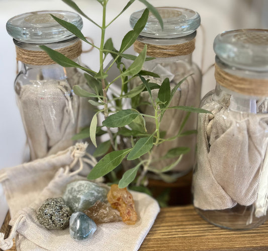 Plants Are Life Bottle