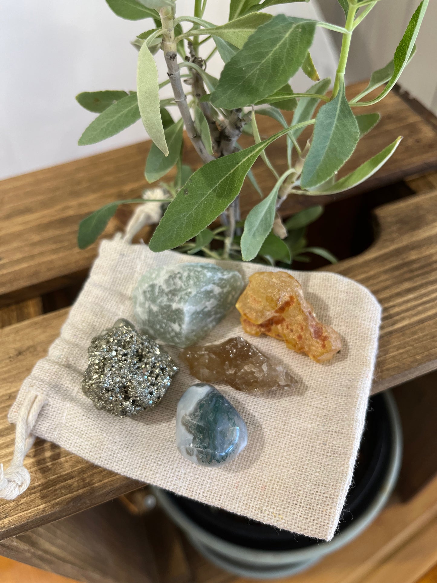 Plants Are Life Bottle