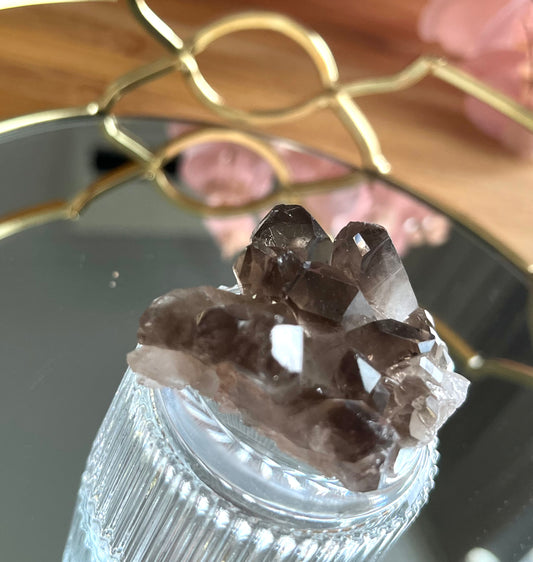 Smoky Quartz - Cluster - Mini - 1A